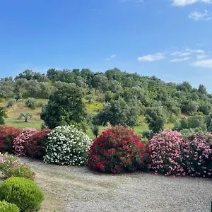 tenuta-montemassi-podere-montauzzo.it-tuscanyhotel.com/